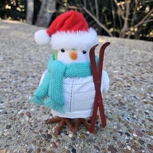 Target Spritz Wondershop Bird Featherly Friends  Powell from 2020 Ski Skiing